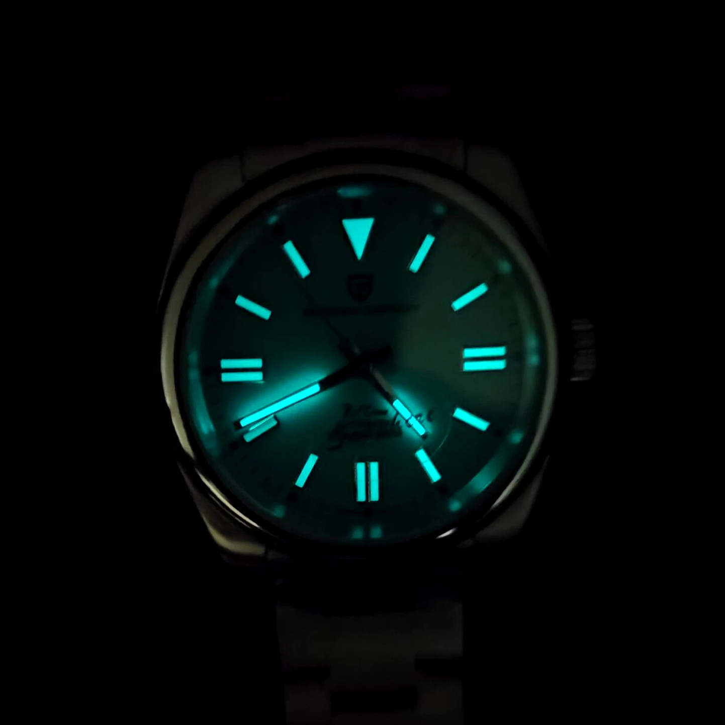 PAGANI DESIGN Luxuriöse klassi – Seiko Watch Prospex Bewertung und Preis