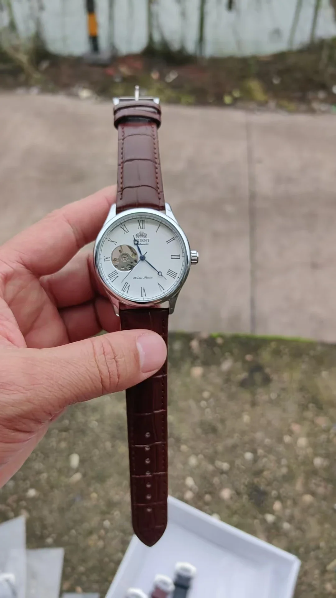 DFDG Mechanische Skelett-Uhr m – Seiko Watch Presage Bewertung und Preis